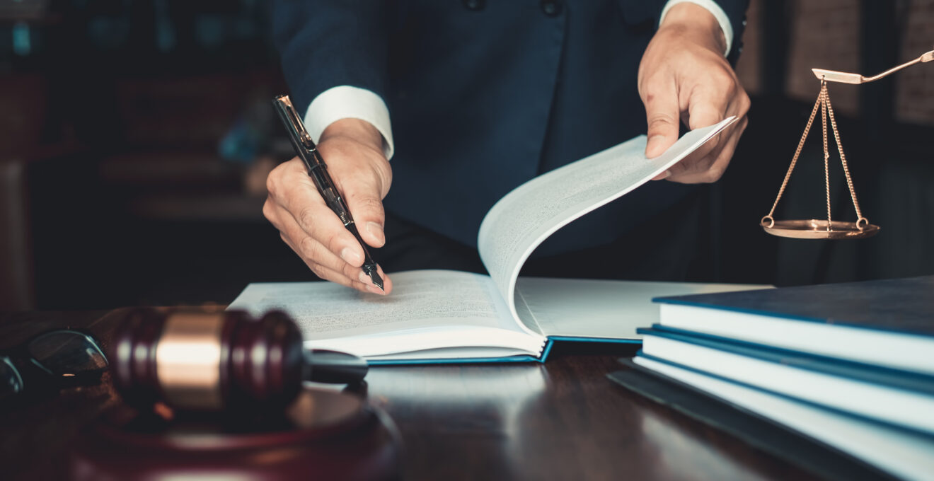grands domaines du droit