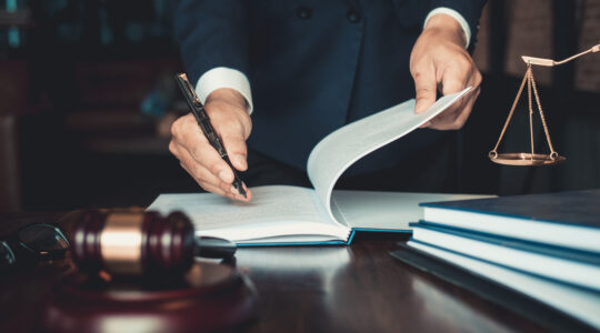 grands domaines du droit